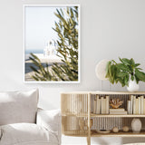 Olive Branch View Photo Art Print