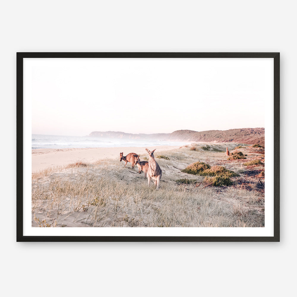 Beach Kangaroos Photo Art Print