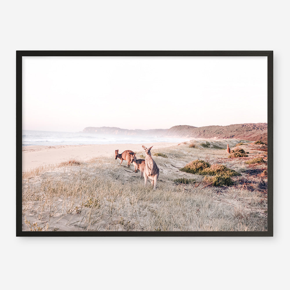Beach Kangaroos Photo Art Print