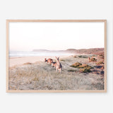 Beach Kangaroos Photo Art Print