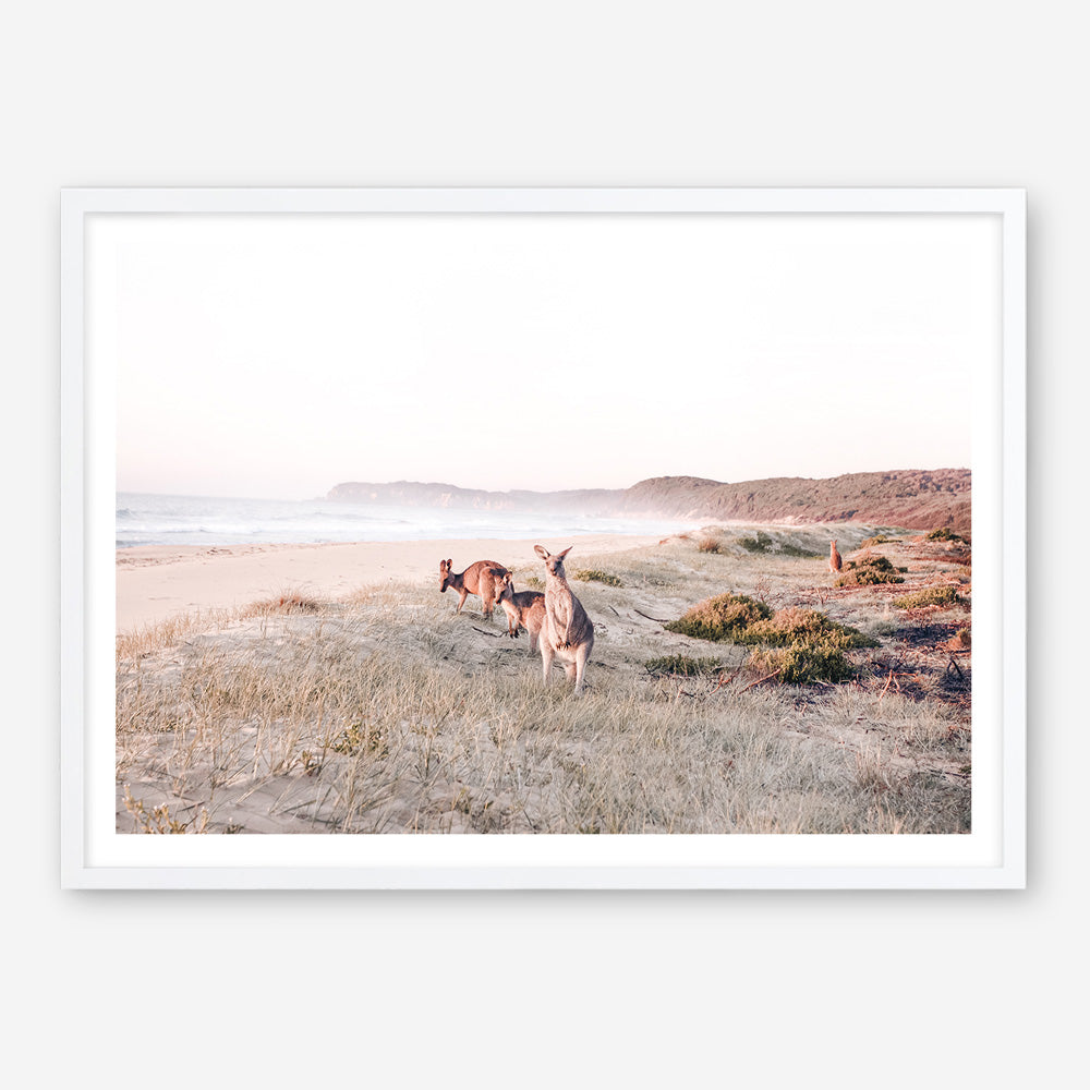 Beach Kangaroos Photo Art Print