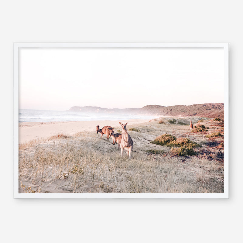 Beach Kangaroos Photo Art Print