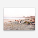 Beach Kangaroos Photo Canvas Print