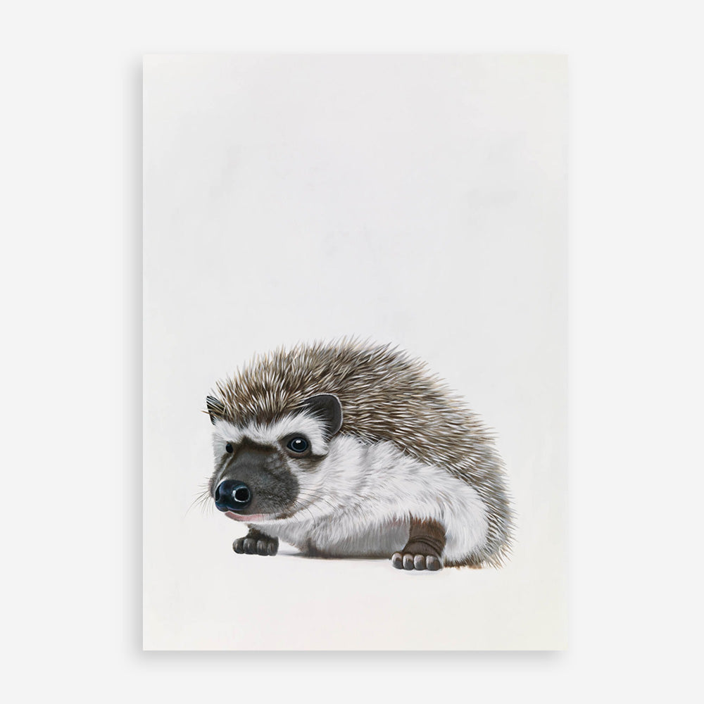 Baby Hedgehog Art Print