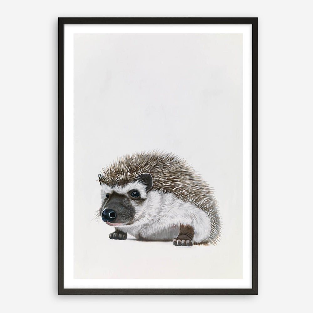 Baby Hedgehog Art Print