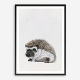 Baby Hedgehog Art Print