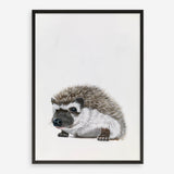 Baby Hedgehog Art Print