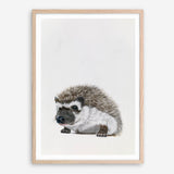 Baby Hedgehog Art Print