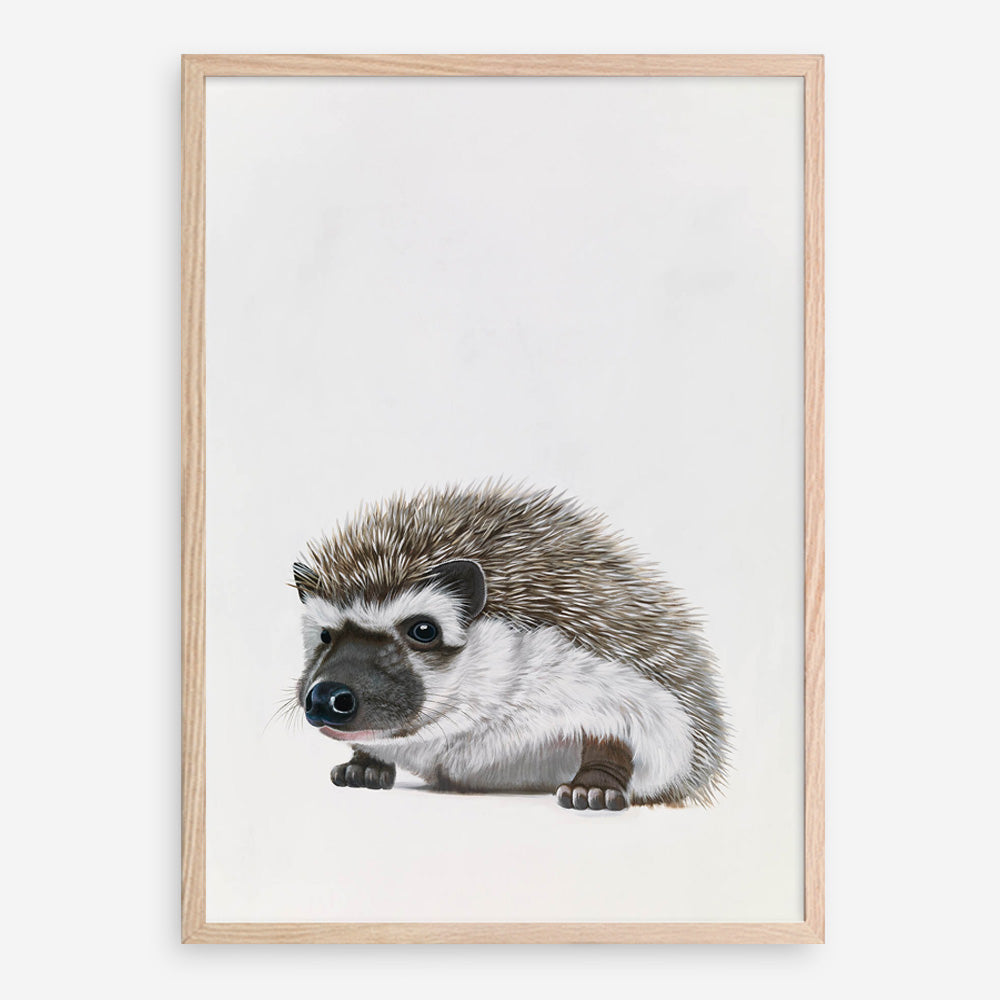 Baby Hedgehog Art Print
