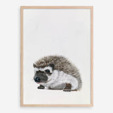 Baby Hedgehog Art Print