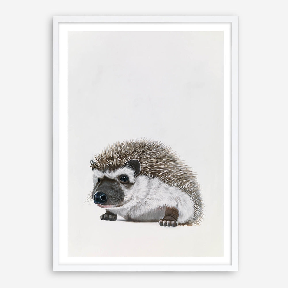 Baby Hedgehog Art Print