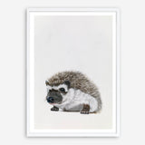 Baby Hedgehog Art Print