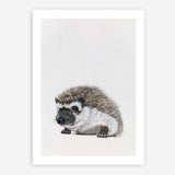 Baby Hedgehog Art Print