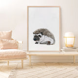 Baby Hedgehog Art Print