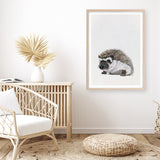 Baby Hedgehog Art Print