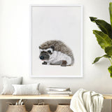 Baby Hedgehog Art Print