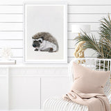Baby Hedgehog Art Print