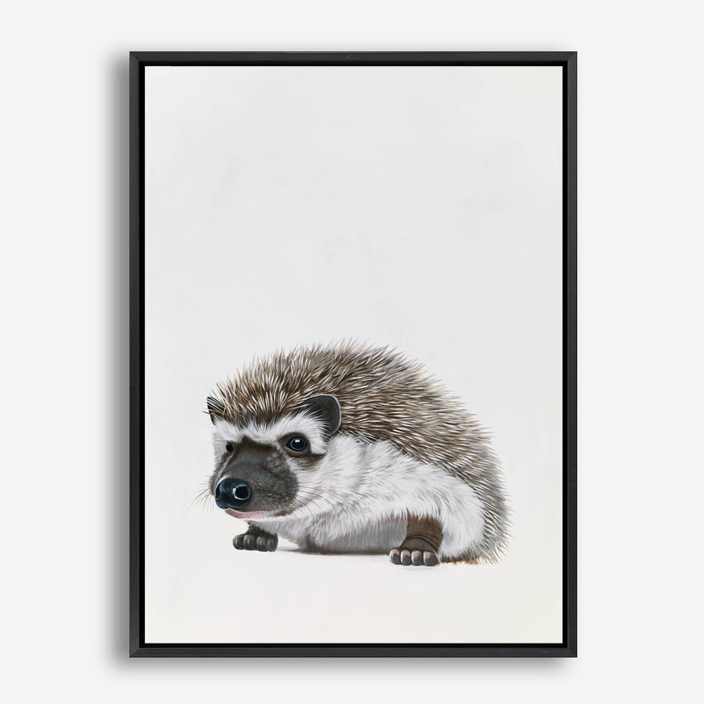 Baby Hedgehog Canvas Print