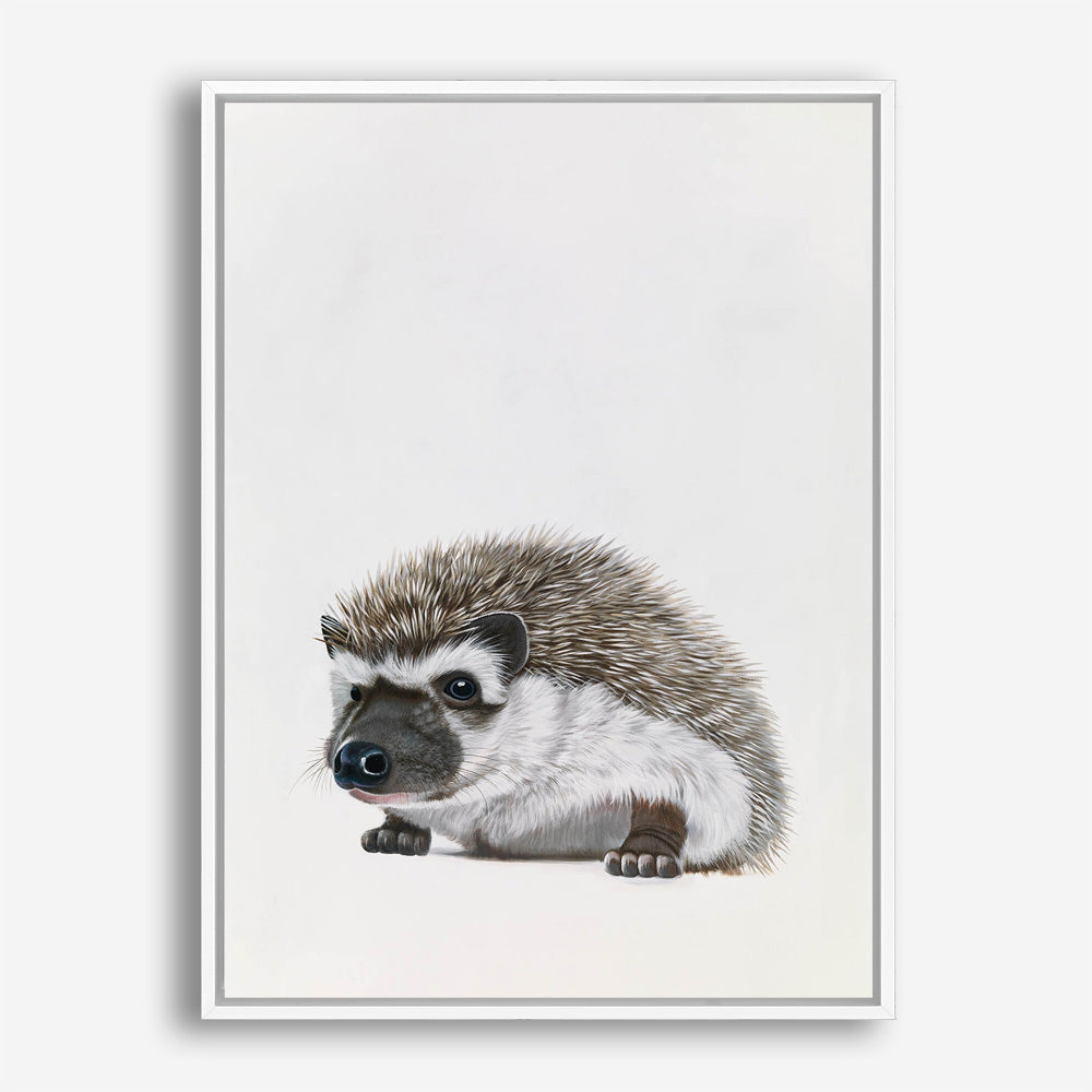Baby Hedgehog Canvas Print