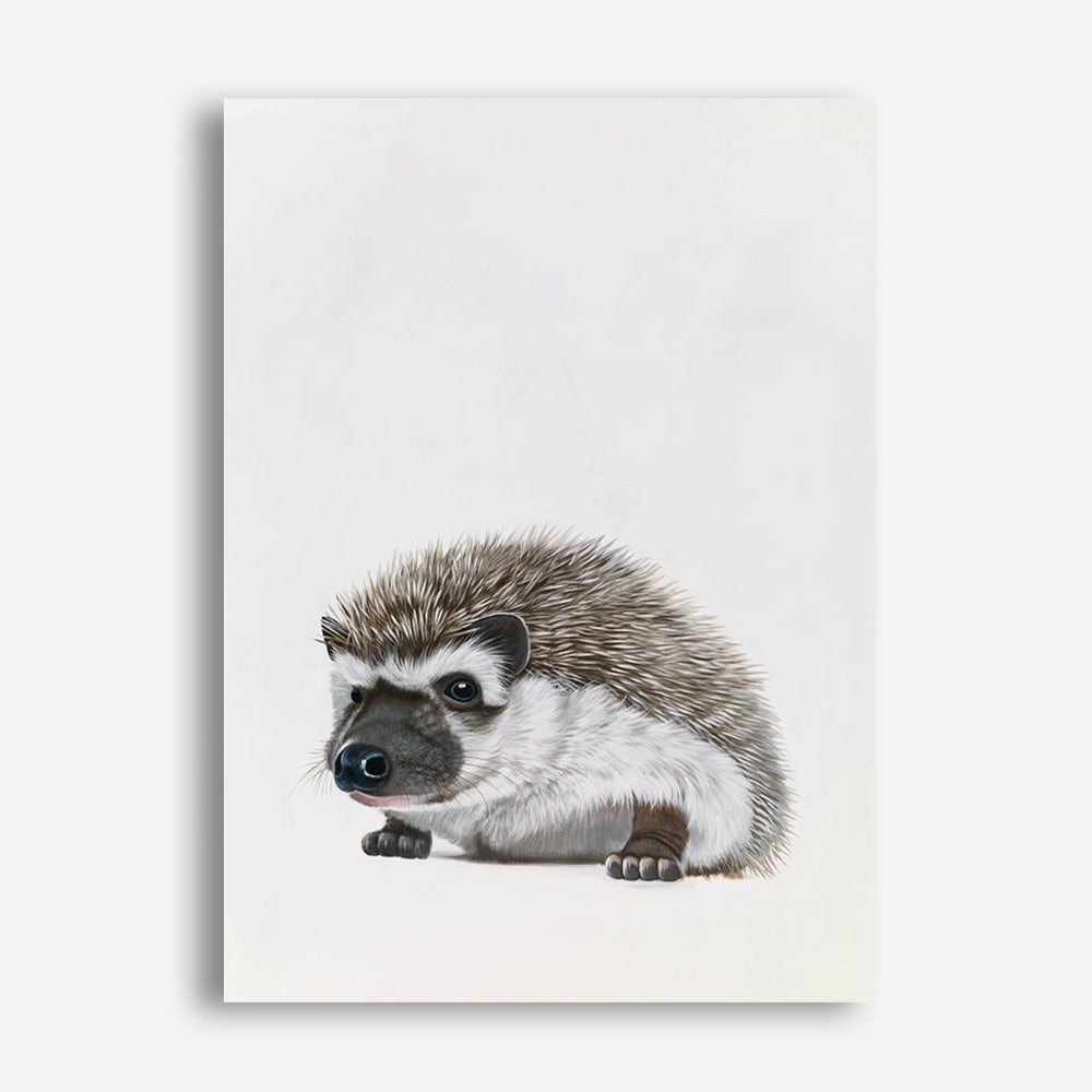 Baby Hedgehog Canvas Print