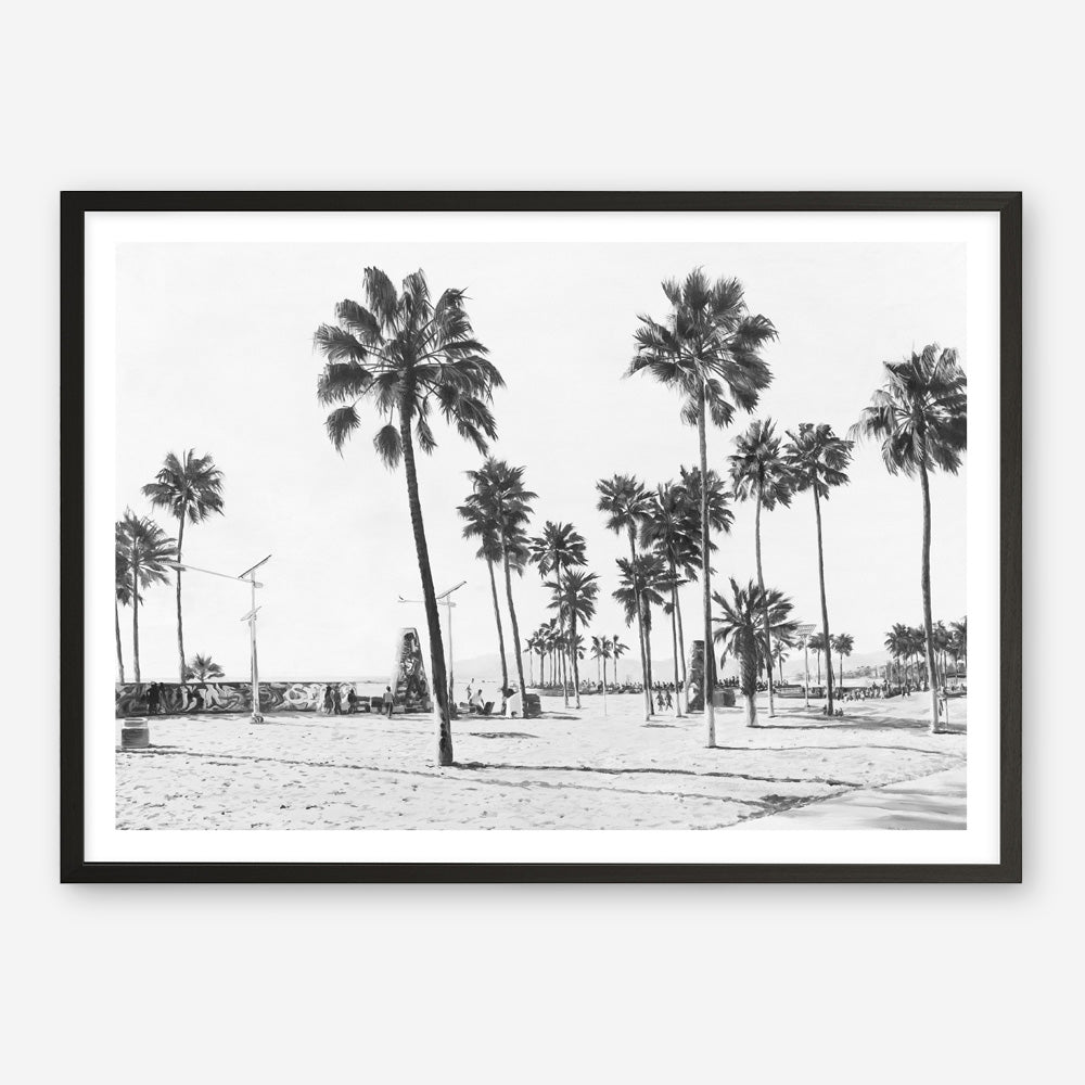 California Foreshore B&W Art Print