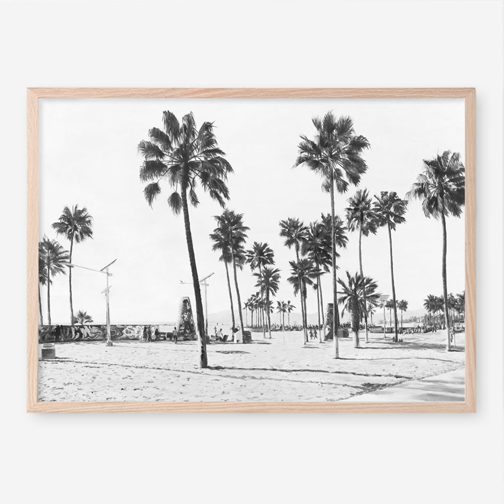 California Foreshore B&W Art Print