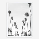 California Palms B&W Art Print