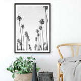 California Palms B&W Art Print