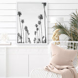 California Palms B&W Art Print