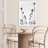California Palms B&W Art Print