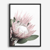Protea No. 2 Photo Canvas Print