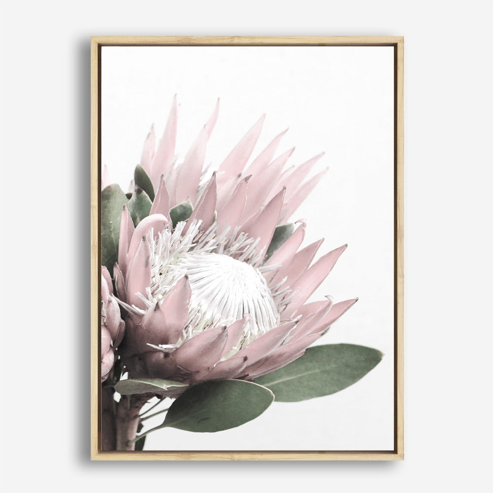 Protea No. 2 Photo Canvas Print