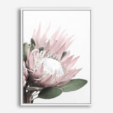 Protea No. 2 Photo Canvas Print