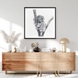Sleeping Koala (Square) Art Print