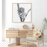 Sleeping Koala (Square) Art Print