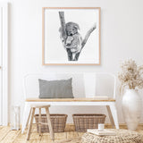Sleeping Koala (Square) Art Print