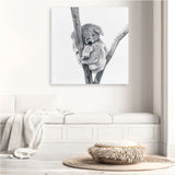Sleeping Koala (Square) Canvas Print
