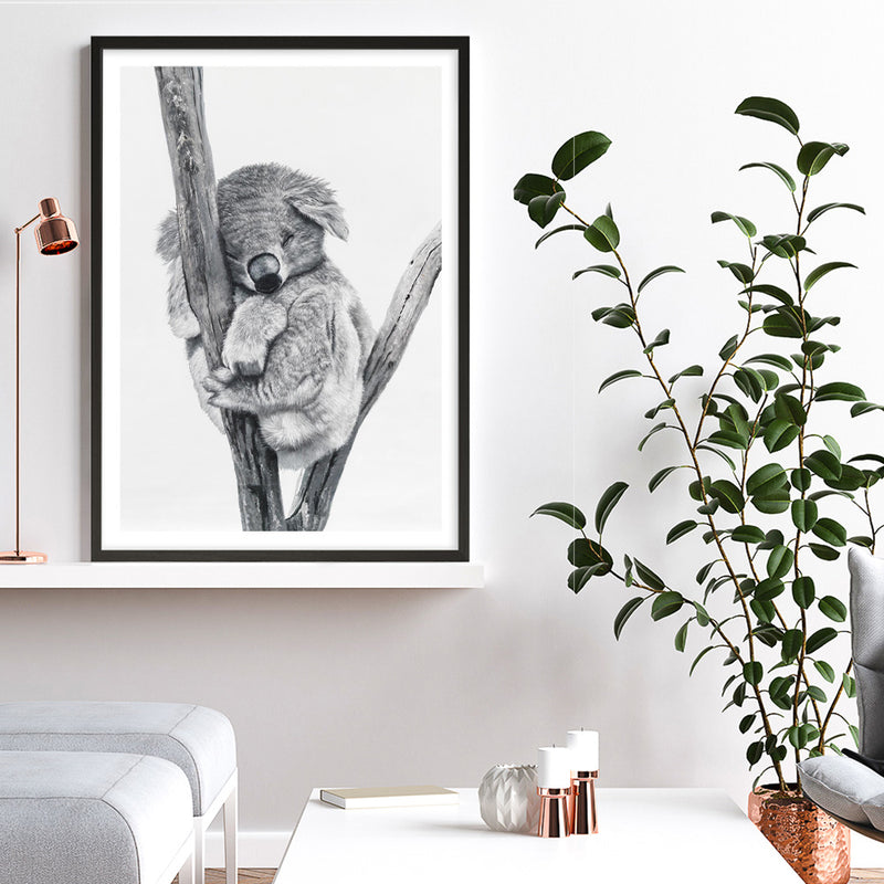 Sleeping Koala Art Print by David Morgan-mar 