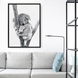 Sleeping Koala Canvas Print