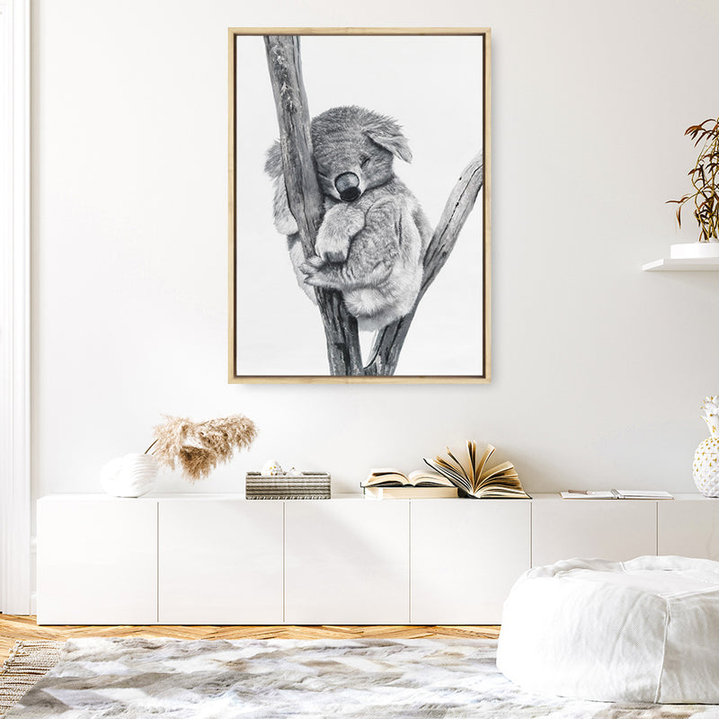 Sleeping Koala Canvas Print
