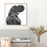 Theo The Black Cockatoo (B&W) (Square) Art Print