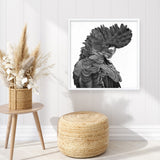 Theo The Black Cockatoo (B&W) (Square) Art Print