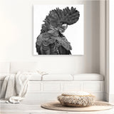 Theo The Black Cockatoo (B&W) (Square) Canvas Print