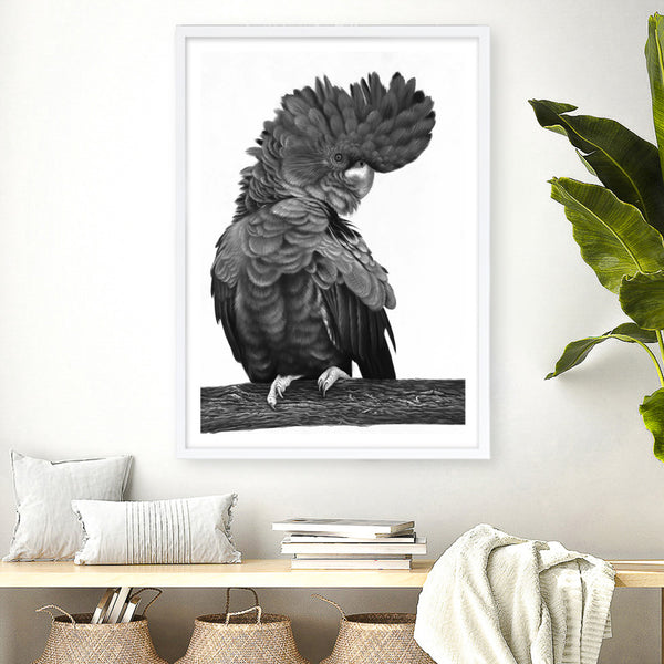 Theo The Black Cockatoo (B&W) Art Print