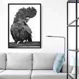 Theo The Black Cockatoo (B&W) Canvas Print