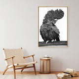 Theo The Black Cockatoo (B&W) Canvas Print