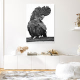 Theo The Black Cockatoo (B&W) Canvas Print