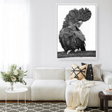 Theo The Black Cockatoo (B&W) Canvas Print