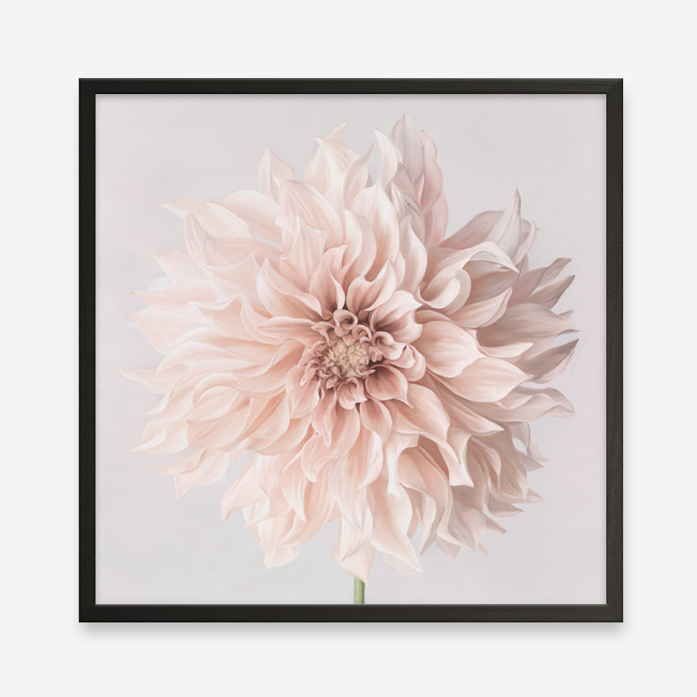 Pastel Peach Dahlia Flower (Square) Art Print