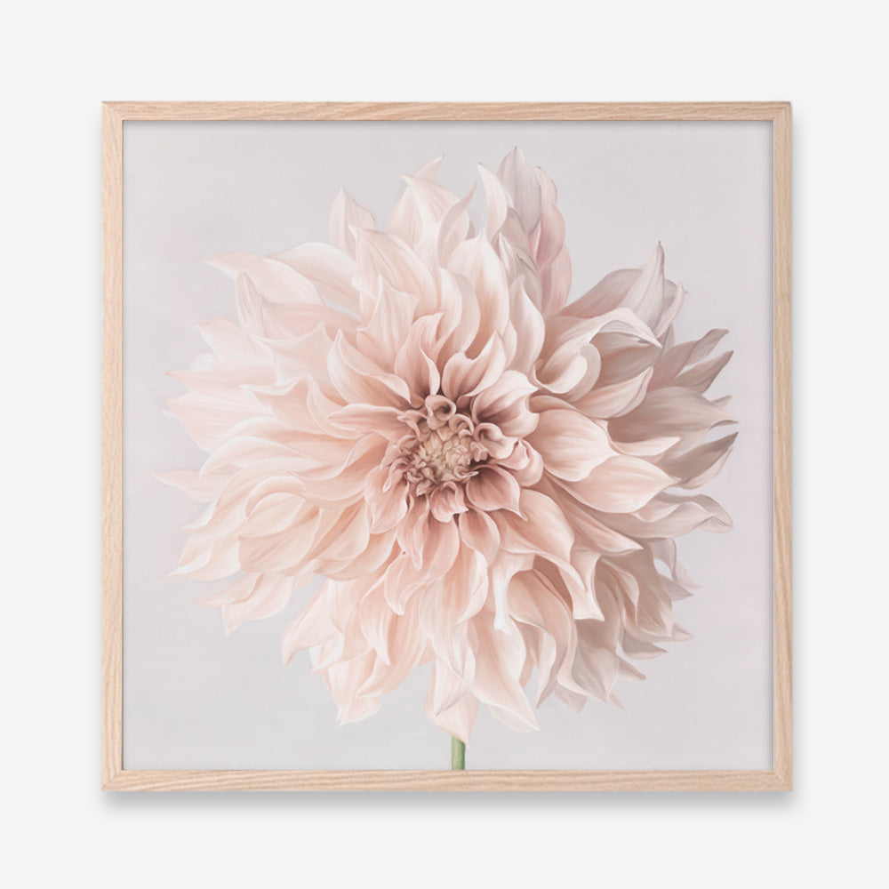 Pastel Peach Dahlia Flower (Square) Art Print
